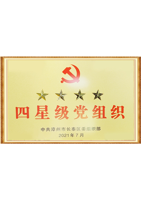 Four star party organization